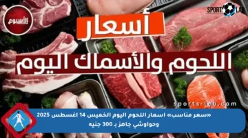 «سعر مناسب» أسعار اللحوم اليوم الخميس 14 أغسطس 2025 وحواوشي جاهز بـ 300 جنيه
